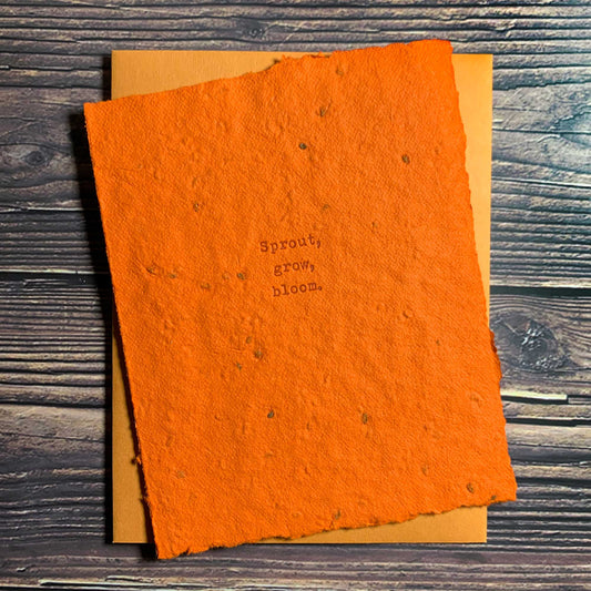 Sprout, Grow, Bloom, Plantable Carrot Seed Paper Greeting Cards, Boxed sets of card, handmade seed paper, orange paper and envelopes, Letterpress printed, includes envelope